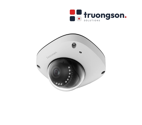 Camera IP Dome 5MP Ikegawa IK-D5866FR-B